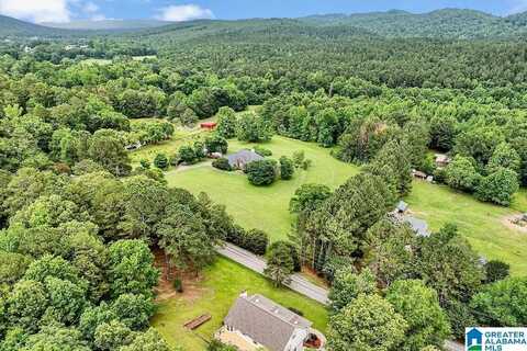 155 OAK GROVE ROAD, SPRINGVILLE, AL 35146