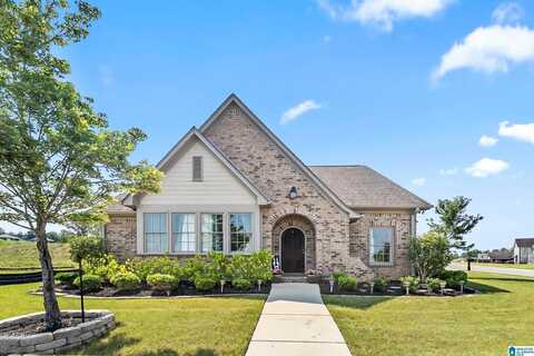 5266 MEADOW RIDGE TRAIL, Mc Calla, AL 35022