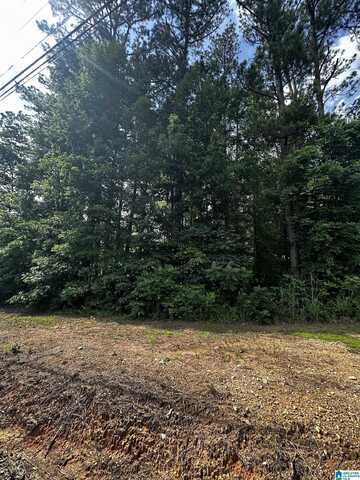 SANDY DRIVE, Mc Calla, AL 35111