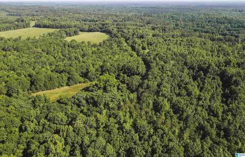 5248 COUNTY ROAD 14, UNION SPRINGS, AL 36089
