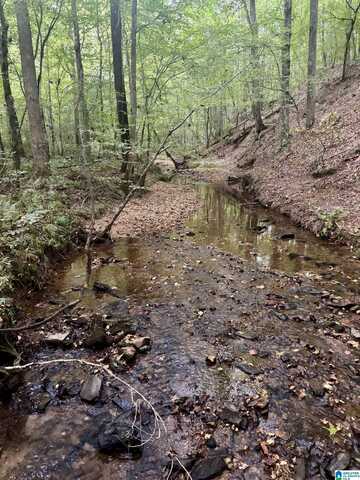 0 VALLEY ROAD, GOODWATER, AL 35072