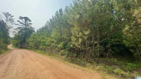 0 VALLEY ROAD, GOODWATER, AL 35072