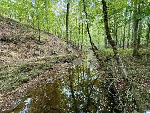 0 VALLEY ROAD, GOODWATER, AL 35072