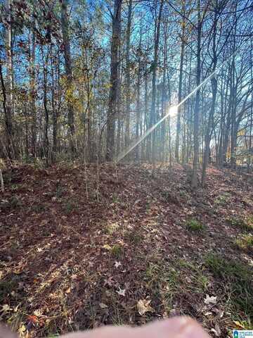 Lot 18 DOGWOOD CIRCLE, ROANOKE, AL 36274