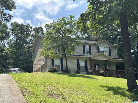 21131 DELMAR DRIVE, LAKE VIEW, AL 35111