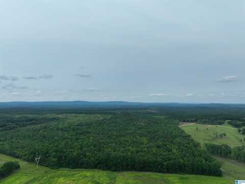 JACKSON FARM ROAD, WILSONVILLE, AL 35186