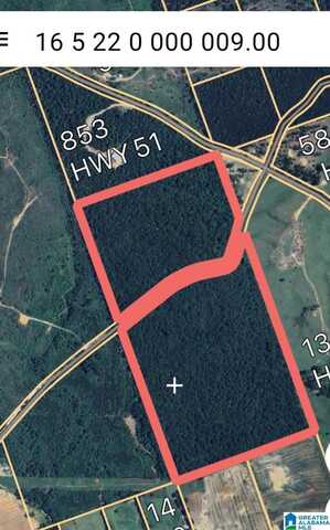JACKSON FARM ROAD, WILSONVILLE, AL 35186