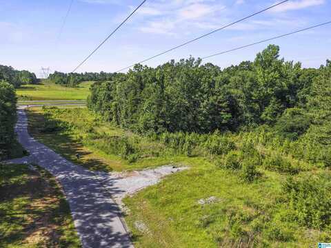 87 BRYAN ROAD, STERRETT, AL 35147