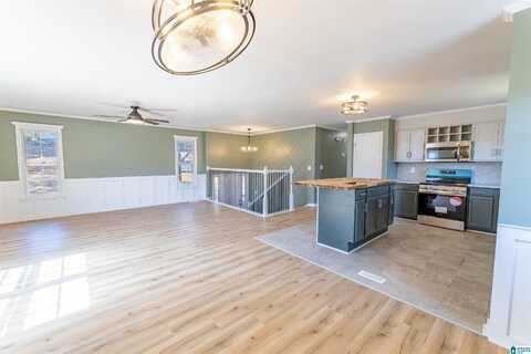 1025 OLD MILL ROAD, ANNISTON, AL 36207