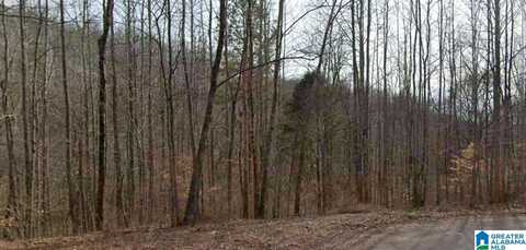 00 HERITAGE CREEK DRIVE, SPRINGVILLE, AL 35146