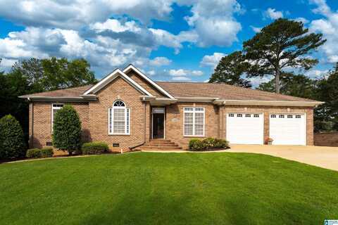 101 MILL ROAD, SPRINGVILLE, AL 35146