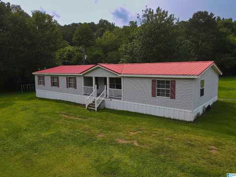 1028 HORSECREEK BOULEVARD, DORA, AL 35062