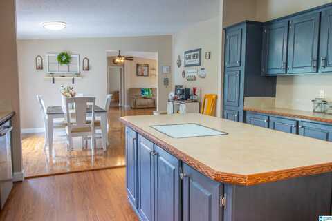 1028 HORSECREEK BOULEVARD, DORA, AL 35062