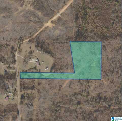 206 CAMERON LANE, MUNFORD, AL 36268