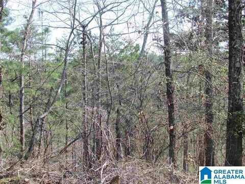 0000 COGSWELL AVENUE, PELL CITY, AL 35125