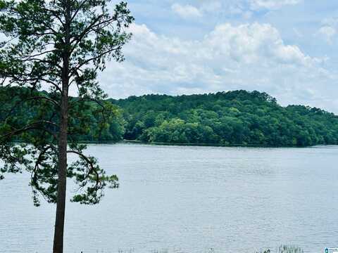 Lot 180 STILLWATERS TRAIL, SYLACAUGA, AL 35151