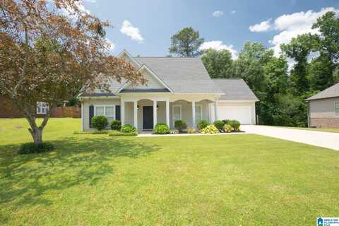 176 ASHTON WOODS DRIVE, CHELSEA, AL 35043