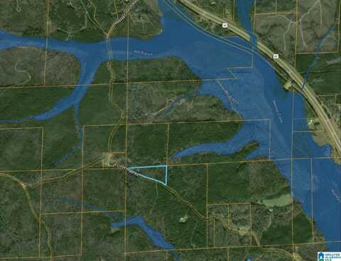 TBD LITTLE HOPE ROAD, CENTREVILLE, AL 35042