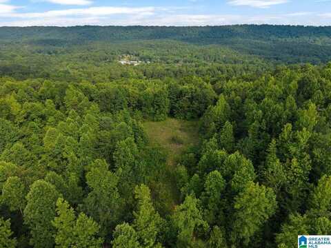 Lot #2 HIGHWAY 75, ONEONTA, AL 35121
