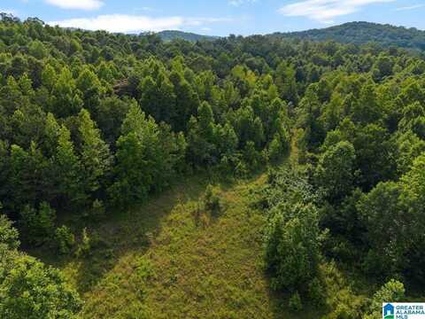 Lot #1 HIGHWAY 75, ONEONTA, AL 35121