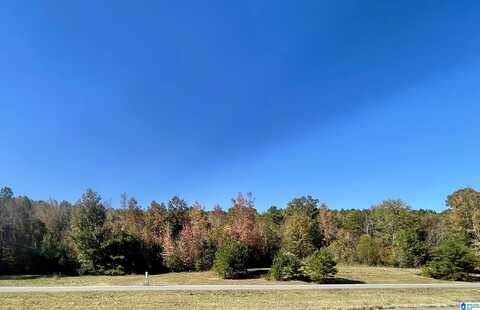 Lot #3 HIGHWAY 75, ONEONTA, AL 35121