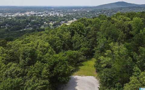 0 REBECCA TRAIL, ANNISTON, AL 36207