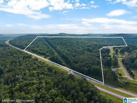 Lot #6 HIGHWAY 75, ONEONTA, AL 35121
