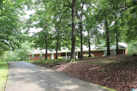 10881 HIGHWAY 9, DELTA, AL 36258