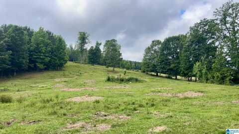 988 MINES ROAD, ASHLAND, AL 36251