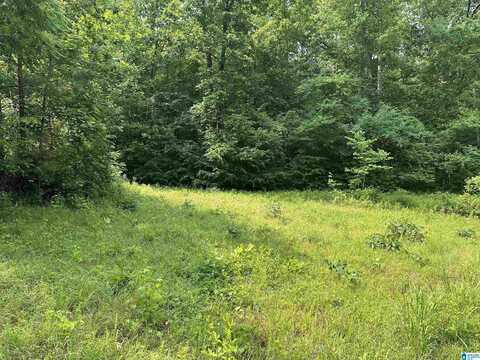 00 COUNTY ROAD 25, HEFLIN, AL 36264