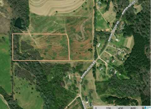 1895 MARVIN ADCOCK ROAD, HAYDEN, AL 35079