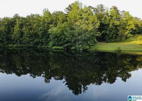HOLLYS LANE, RIVERSIDE, AL 35135