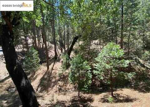 12000 Trapper, Groveland, CA 95321