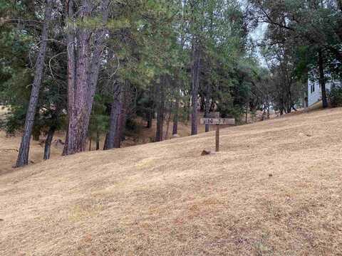 10-57 McKinley, Groveland, CA 95321