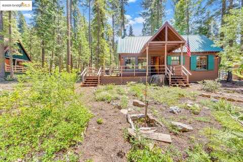 39 Cow Creek, Pinecrest, CA 95364
