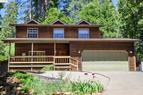 24051 Pine Lake Dr, Twain Harte, CA 95383