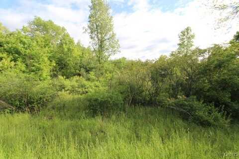 0000 State Route 49, New York, NY 13135
