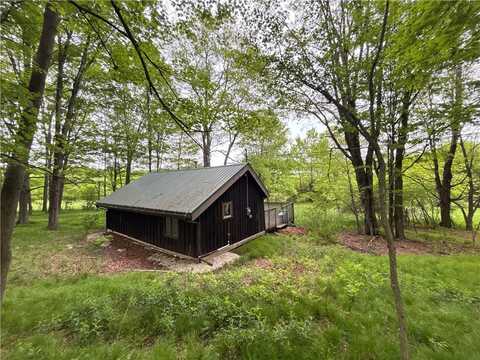 1294 Peters Road, Harpersfield, NY 12167
