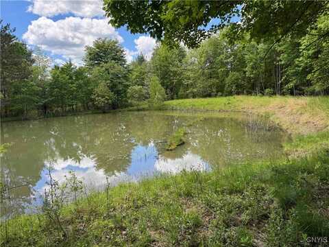 676 Main Street, Carlton, NY 14753