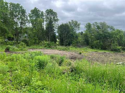 Franklin Street, Homer, NY 13077