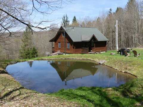 1910 Davis Hollow Road, Andes, NY 13731