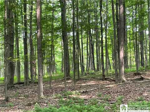1479 Orr St. Extension, Best, NY 14701