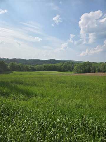0 Backus Road, New Lisbon, NY 13810