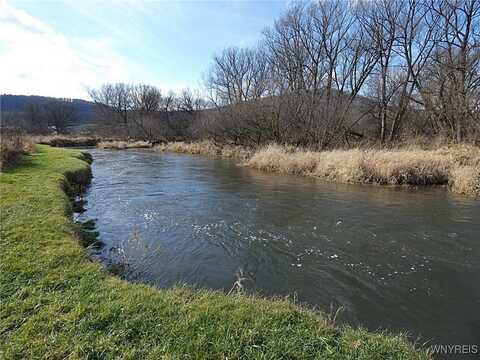 Cooney Road, Franklinville, NY 14737