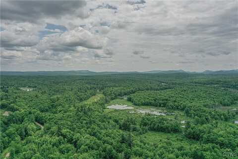 Lake Ozonia Road, Hopkinton, NY 12985