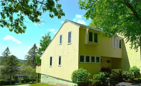 225 Woodland Drive, Roxbury, NY 12474