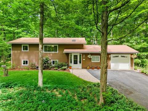 29 Woodlane Road, Caroline, NY 14850