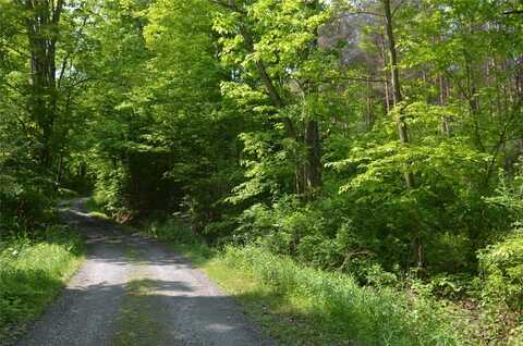 0 Caton Road, Caton, NY 14830