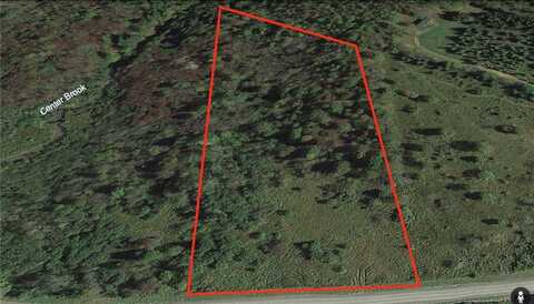 0 Bingham Collins Road, Columbus, NY 13460