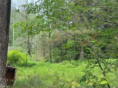 Kanoaloka Street, Remsen, NY 13438